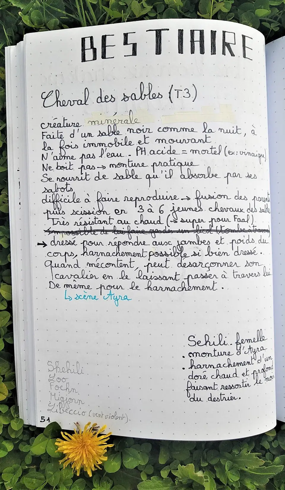 notes-manuscrites-myriam-savary-4