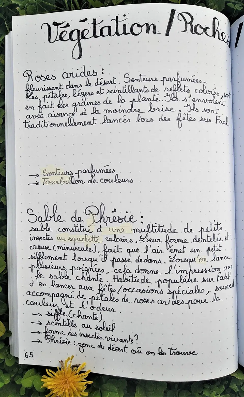 notes-manuscrites-myriam-savary-5